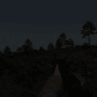 typew_2.gif