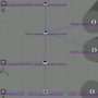 wave_advanced_syncs.png